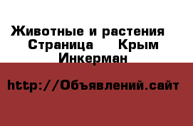  Животные и растения - Страница 5 . Крым,Инкерман